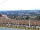 Aussicht vom Weingut Friedrich