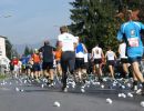 Graz Marathon 2008_13