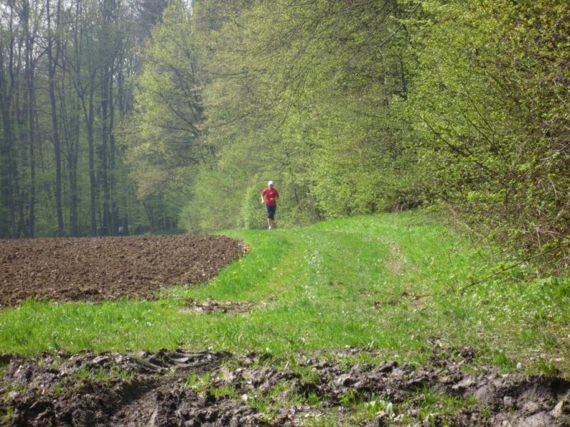 Jubilaeumslauf 2010_1