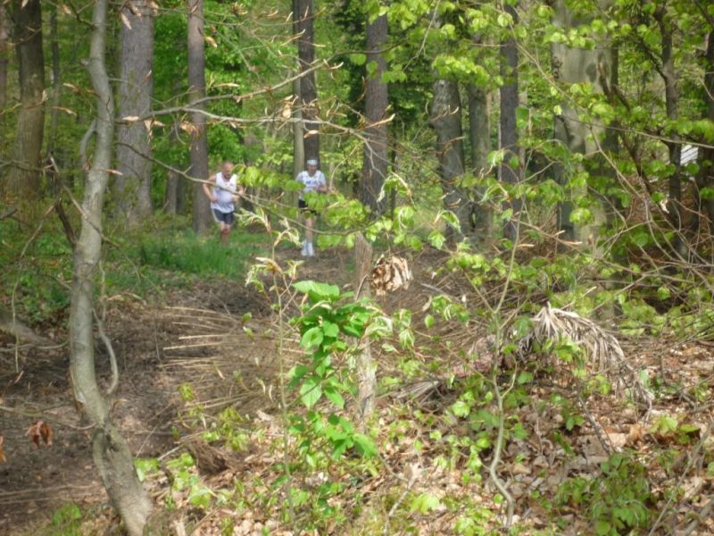 Jubilaeumslauf 2010_18