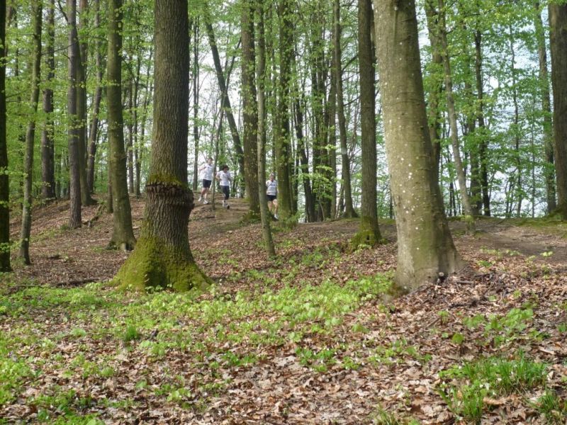 Jubilaeumslauf 2010_5