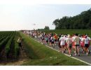 Medoc Marathon_6