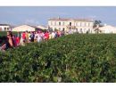 Medoc Marathon_9