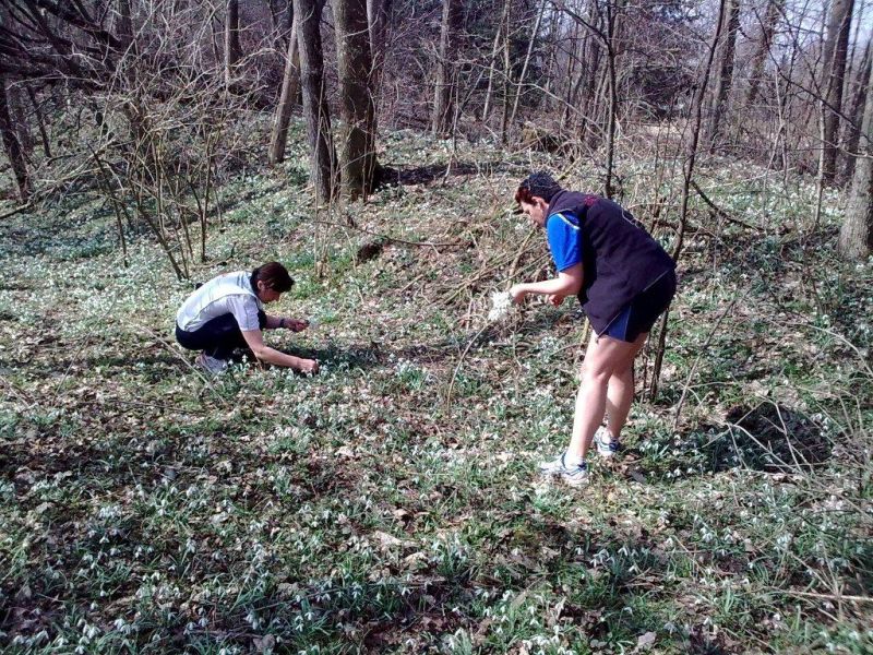 Schneegloeckerllauf 2010