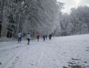 Silvesterlauf 2007_2