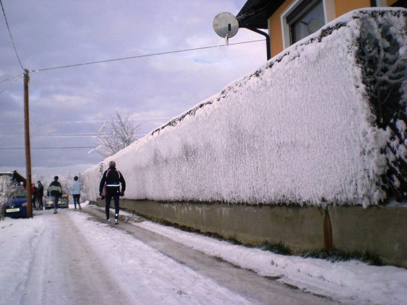 Silvesterlauf 2007_5