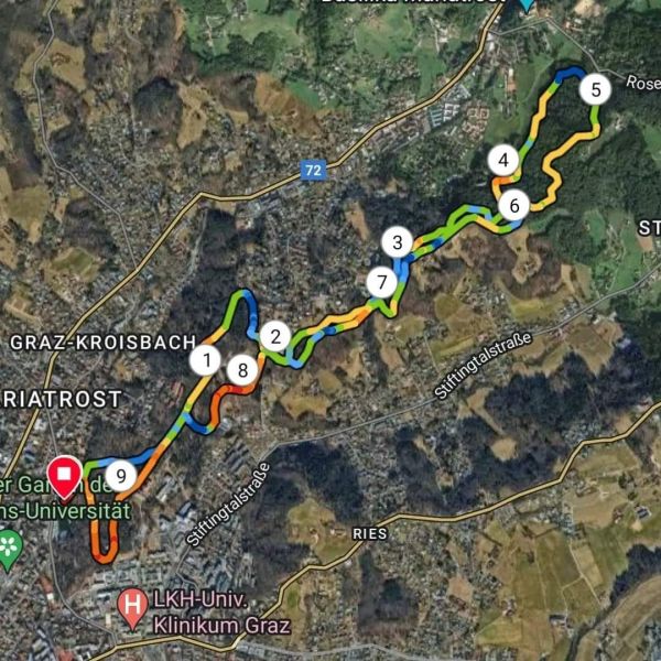 Trail Run Graz - 10.09.2023_3