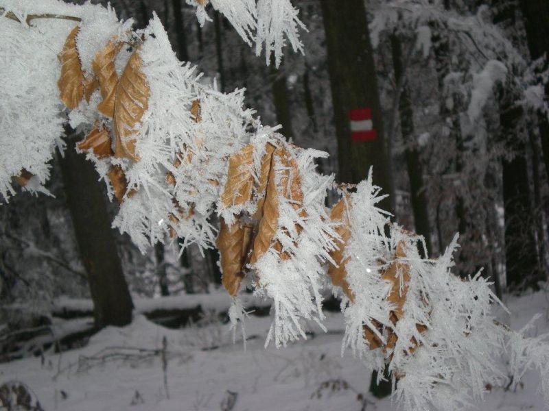 Winterbilder 2007_11