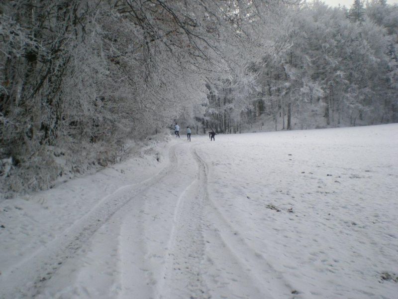 Winterbilder 2007_3