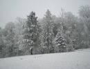 Winterbilder 2007_3