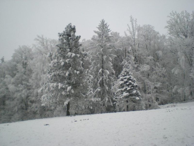 Winterbilder 2007_3
