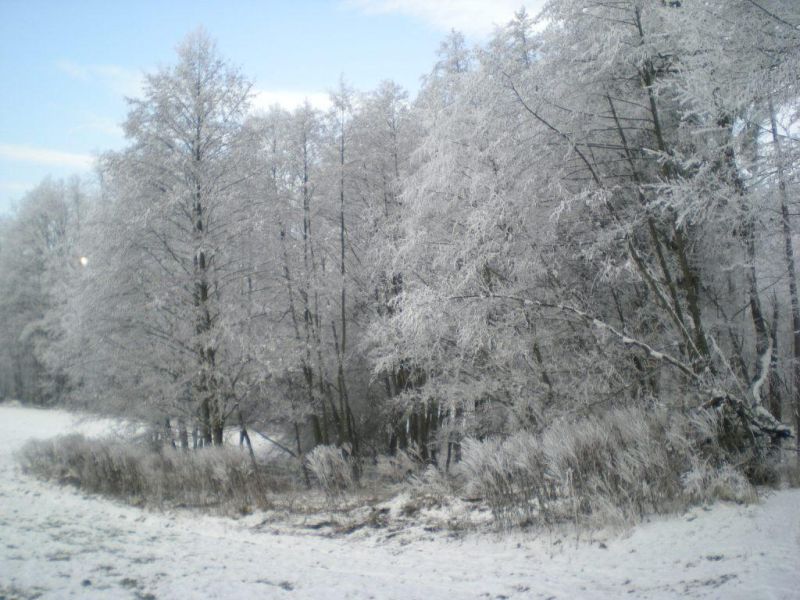 Winterbilder 2007_4