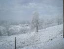 Winterbilder 2007_7