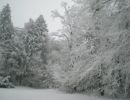Winterbilder 2007_7