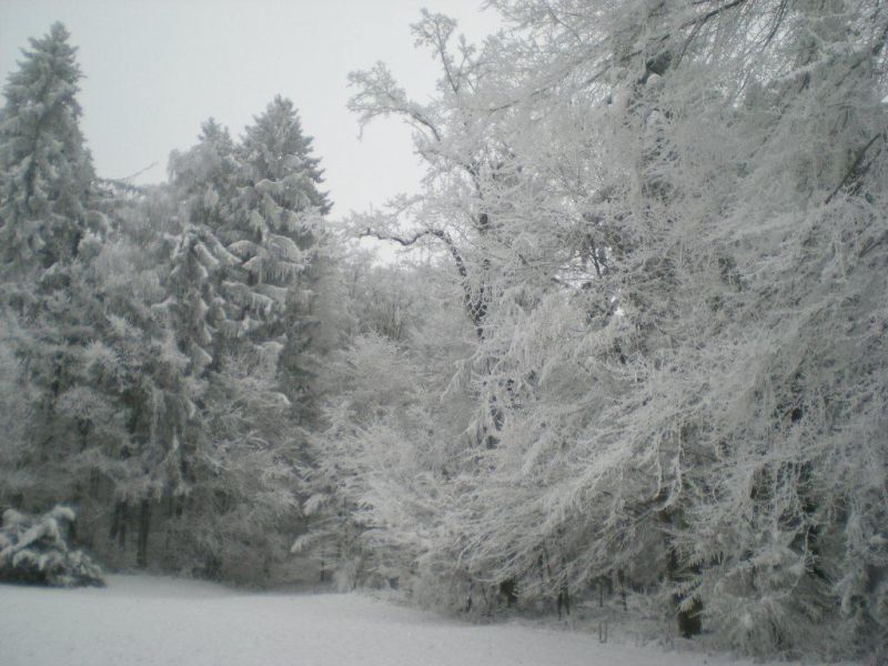 Winterbilder 2007_7