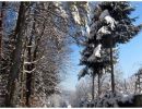 Winterimpressionen_11