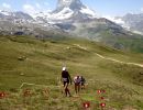 Zermatt Marathon 2015